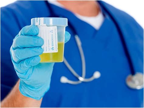 Synthetic urine is made from a mix of various ingredients. How to Use Best Synthetic Urine Called Upass to Pass Urine ...