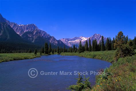 Rockies Rocky Mountains Elk Valley Bc Canada Pictures Images Gunter