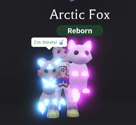 Arctic Fox Adopt Me Neon What People Trade For Neon Artic Reindeer