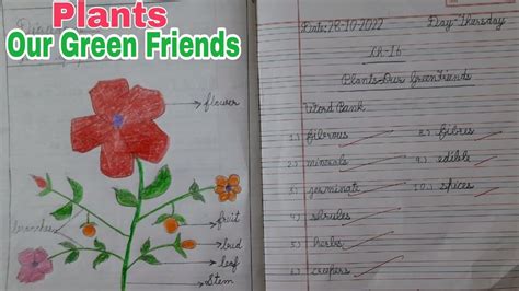 Evs Lesson Plants Our Green Friends Word Bank Qanda Cbse Grade