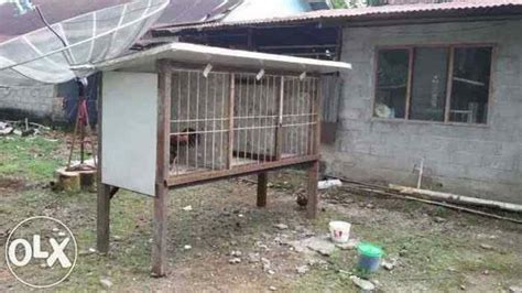 Hal ini dilakukan para peternak ayam demi menghasilkan ayam aduan juara. Ukuran Kandang Ayam Bangkok Dari Bambu - Teknik Kita Tips ...