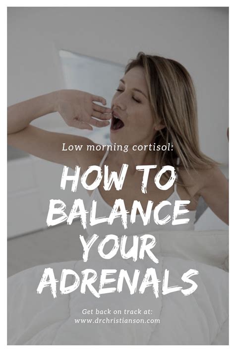 How to keep cortisol levels low. Update - How to Help Low Morning Cortisol | Dr. Alan ...