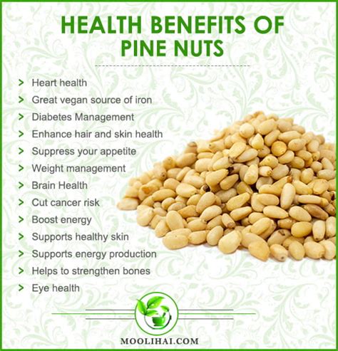 13 Amazing Health Benefits And Nutrition Facts Of Pine Nuts Moolihai