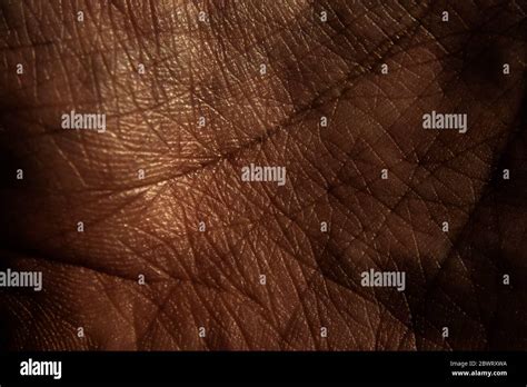 Human Skin Texture Black Hi Res Stock Photography And Images Alamy