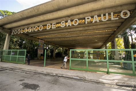 Zoológico De São Paulo Valor Da Entrada 2021