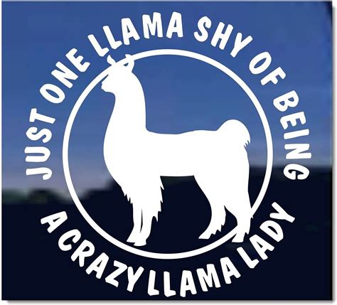Crazy Llama Lady Window Decal Sticker Sports And Outdoors