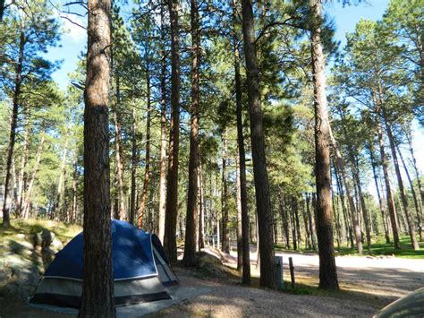 Camping In The Black Hills National Forest Beyond The Tent