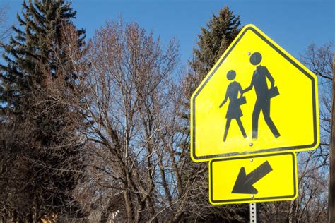 School Crossing Sign What Does It Mean