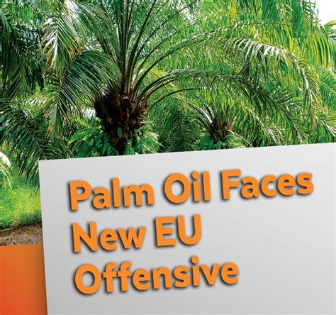 These plantations have now reached maturity, but with. Palm Oil Faces New EU Offensive | Global Oil & Fats ...