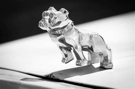 Hood ornaments & emblems └ automobilia └ transportation collectibles └ collectibles все категории antiques art baby books business & industrial cameras & photo cell phones винтаж б/у грузовик mack бульдог орнамент капюшона хром для крысиный хлыст без резерва. Mack Truck Bulldog Hood Ornament Photograph by Jill Reger