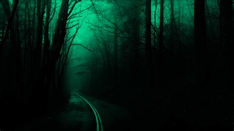 Forest Trees Road Dark Nature Spooky Wallpapers Hd Desktop And