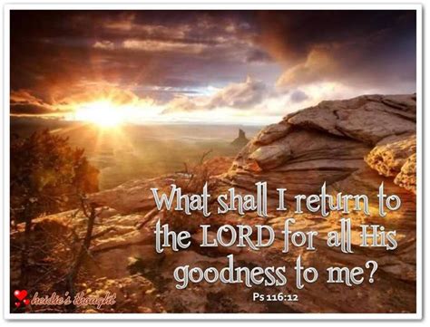 Psalm 116:12 | Secret places, Bible devotions, Psalms