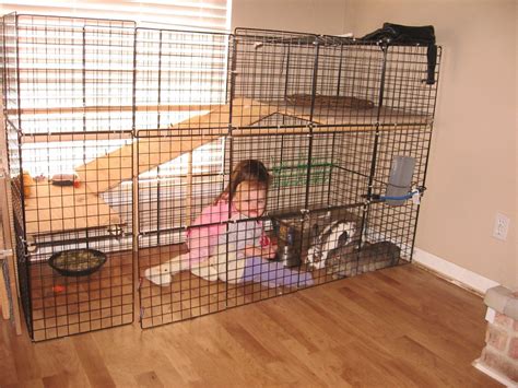 Diy Bunny Cage Ideas My Boyfriends Dad Built This For My Holland Lop