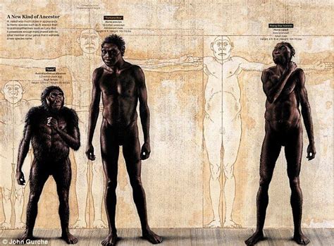 New Species Of Ancient Human Unearthed In South Africa Ancient Humans