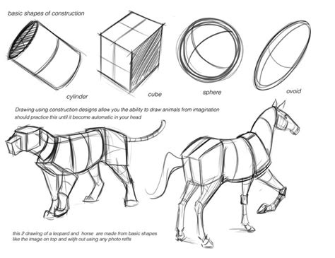 Concept Design Academy Animal Anatomy With Jonathan Kuo Human