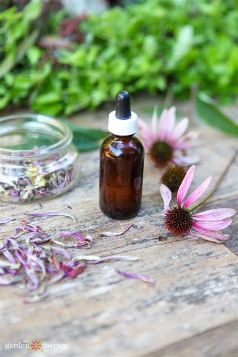 Homemade Flower Essences Harness The Healing Energy Of Flowers Garden Therapy