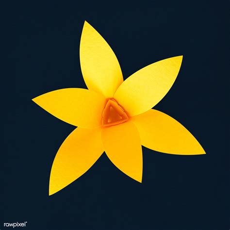 3D Daffodil Svg Free - 104+ Best Free SVG File