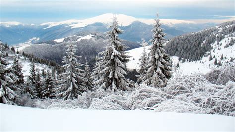 Winter Holidays In Ukraine Immersion In Carpathian Fairy Tale Blog