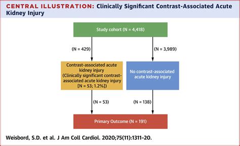 Contrast Associated Acute Kidney Injury And Serious Adverse Outcomes