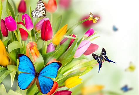 Bright Colorful And Beautiful Are These Blooms Of Spring