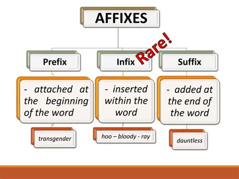 Affixation Compounding Multi Word Verbs