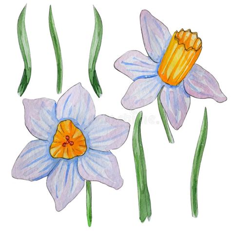 Hand Painted Watercolor Set Of Spring Flowers Stock Illustration