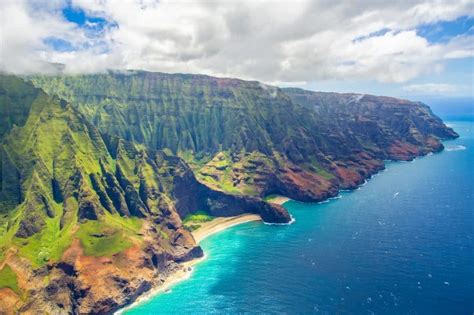Top 10 Wildlife In Hawaii