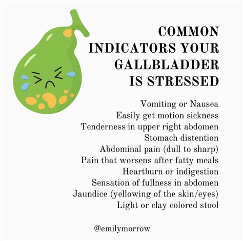 The Gallbladder Roles Signs Of Dysfunction And Support