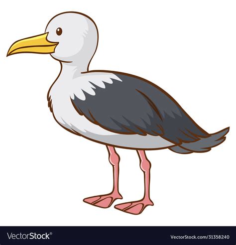 A Seagull Cartoon Character On White Background Vector Image