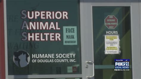 Humane Society Of Douglas County Fundraising For Annual Ice Festival Fox Online