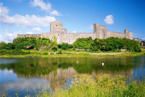 Wales has a living celtic culture, with the welsh language spoken by a fifth of the 3.1 million inhabitants (2019). 7 dog-friendly attractions in Pembrokeshire | Quality Cottages
