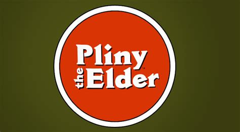 pliny the elder from russian river brewing company available near you taphunter