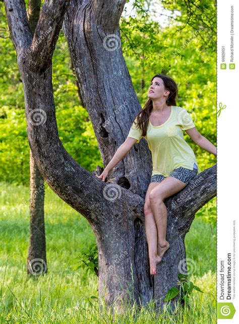Pretty Girl Climbing Tree Stock Image Image Of Bare