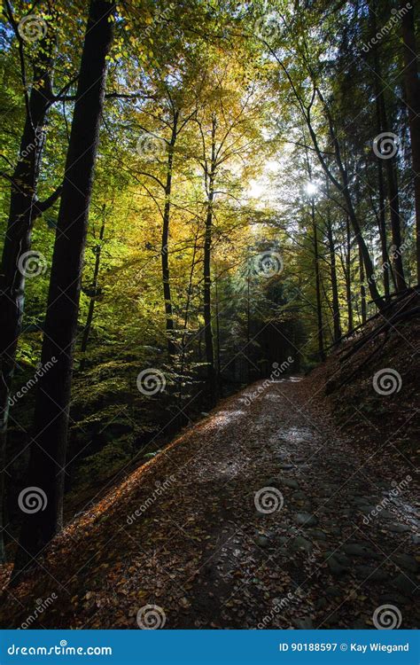 Autumn In German Mountains And Forests Saxon Switzerland Is A Stock