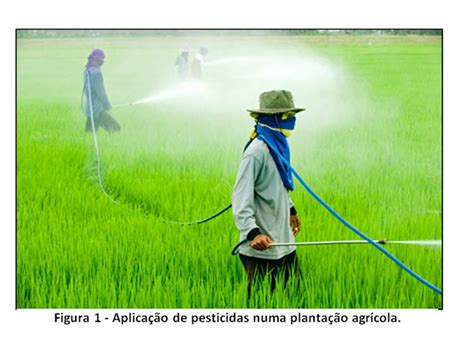 Pesticidas São Substâncias Utilizadas Para Promover O Controle De Pragas