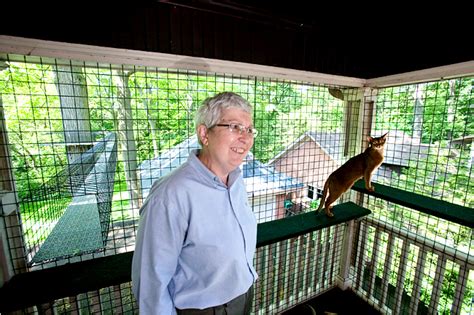 Afterwards, your cat proof window screen is done! HOA laws vs. cat-proofing a balcony : cats