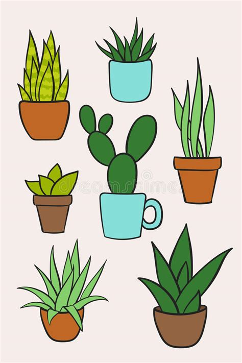 Set Vector Of Houseplants In Pots Hand Drawn Cartoon Collection Stock Vector Illustration Of