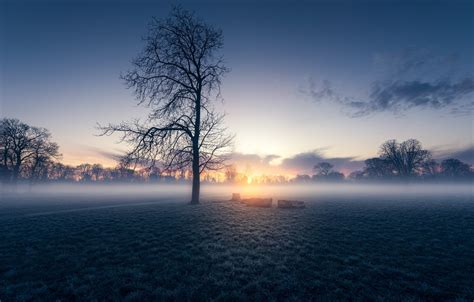 Wallpaper Field Morning Fog Sunrise Dawn London England Morden