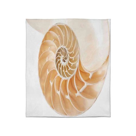 Knitted Nautilus Shell Pattern 1000 Free Patterns