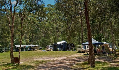 Korsmans Landing Campground And Picnic Area Nsw National Parks
