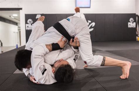 Brazilian Jiu Jitsu Basics Logic Bjj Muay Thai And Fitness