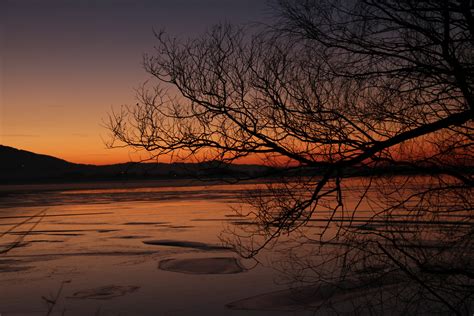 Free Images Landscape Tree Water Branch Cold Winter Sunrise