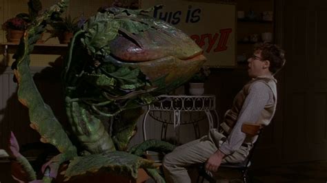 Little shop of horrors is a little twisted, through and through, which makes for a creepy, and very entertaining, musical. 11 Bloodthirsty Facts About 'Little Shop of Horrors ...