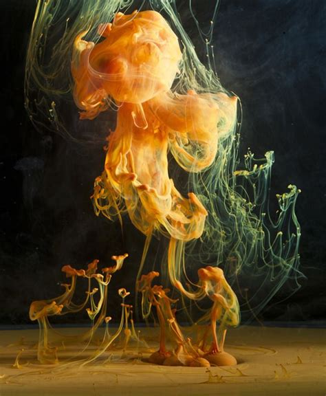 Photographer Captures An Underwater Dance Of Colors