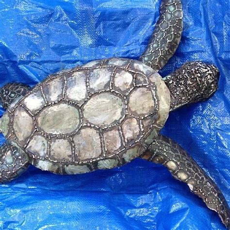 Hand Crafted Metal Sculpture Of A Sea Turtle By Custom Creations Metal