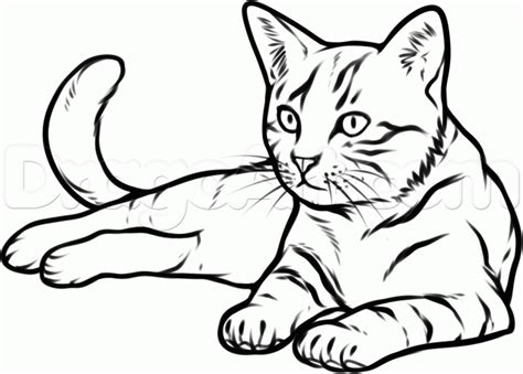 Line drawing techniques when we first pick up a pen or a pencil, the first mark on the paper is a line. cat drawing - Google Search | Animal drawings, Cat drawing ...