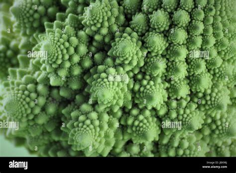 Ein Bild Von Einem Gemüse Romanesco Stockfotografie Alamy