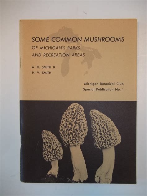Common Mushrooms In Michigan All Mushroom Info
