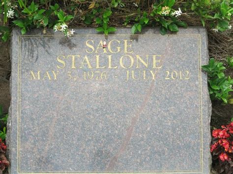 Sage Stallone Picture Of Pierce Brothers Westwood Village Memorial
