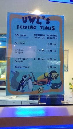 Waterworld langkawi nice place for kids but. Feeding schedule - Picture of Underwater World Langkawi ...